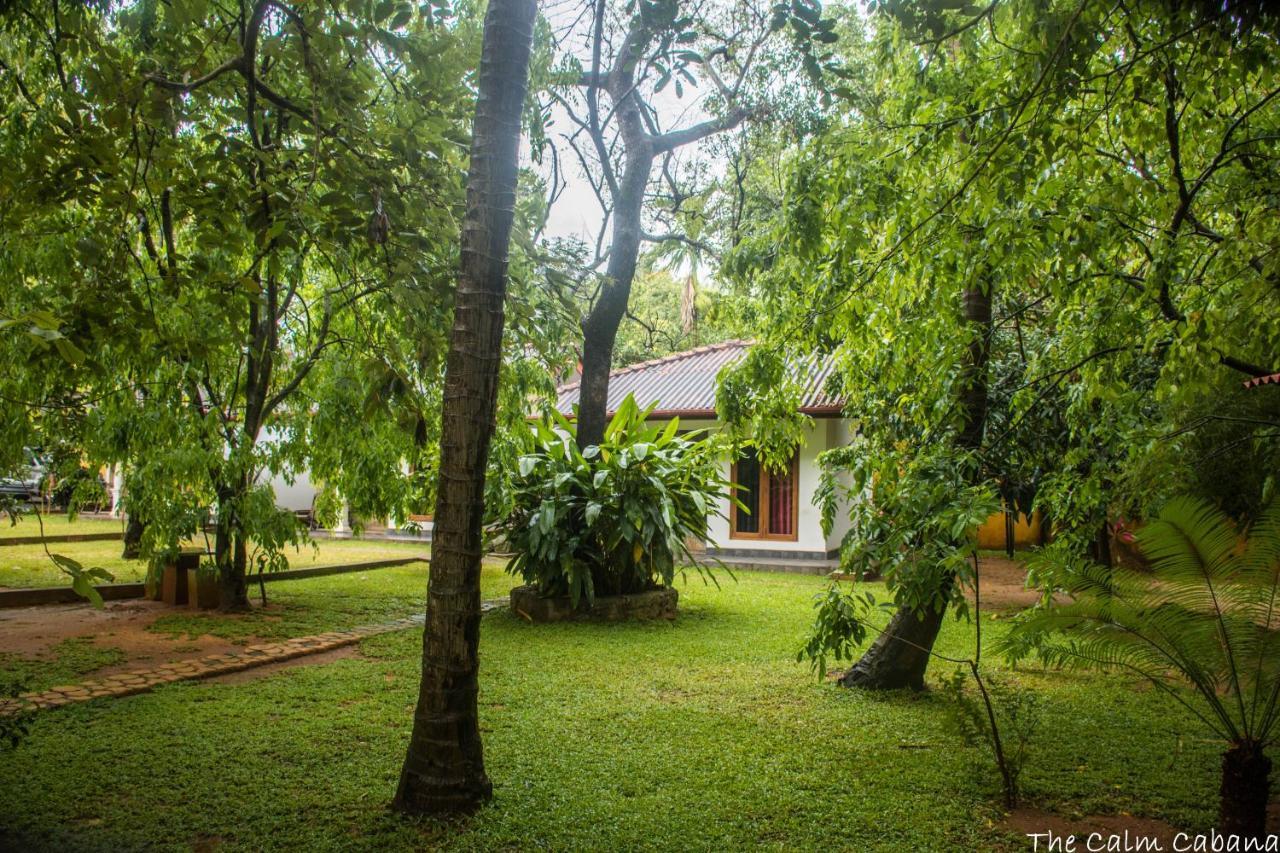 The Calm Cabana Dambulla Luaran gambar